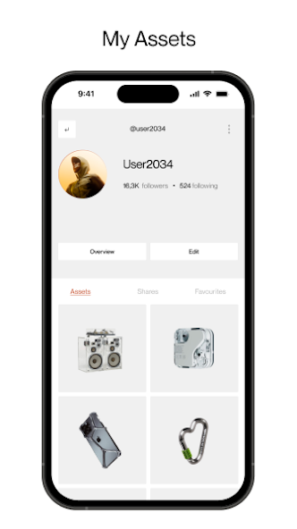 Aurea - imagen del proyecto